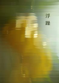 浮躁是什么意思大白话解释